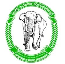 Department of Wildlife Conservation